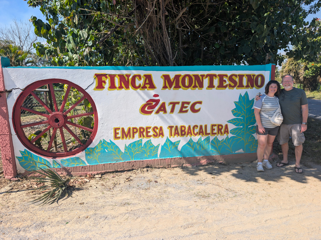 Gardner Tours-哈瓦那必去景点