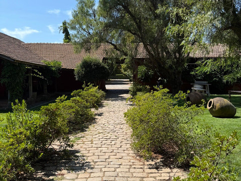 Viña Terranoble-San Clemente必去景点