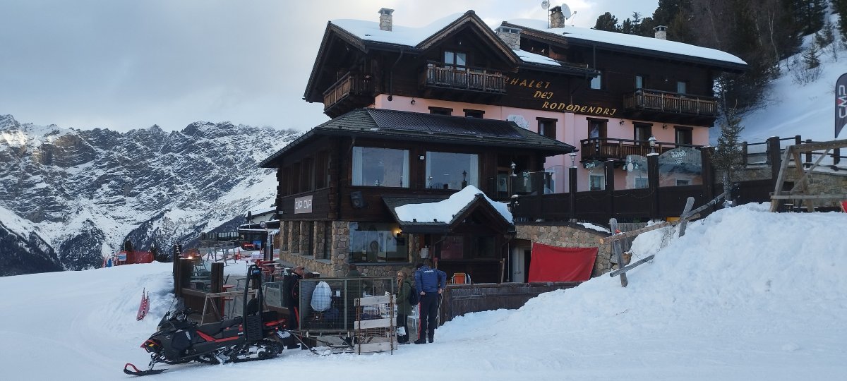 帝罗多登得利小木屋酒店-官方