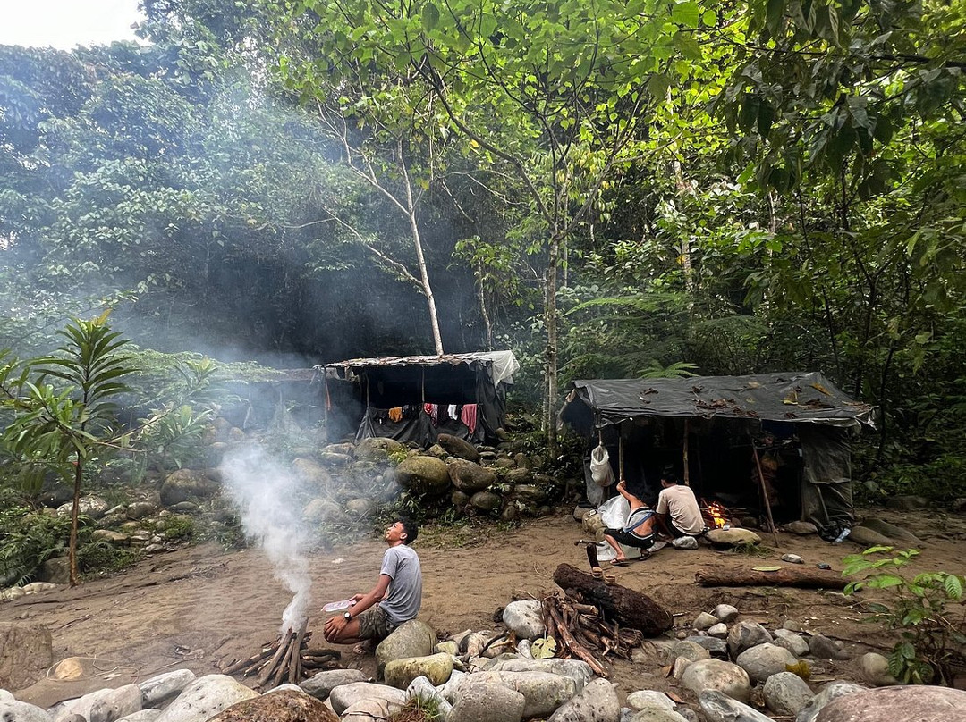 Bukit Lawang Jungle Treks-武吉拉旺必去景点