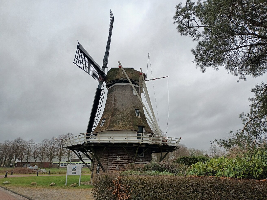Windmolen De Vlijt (1882)-Diever必去景点