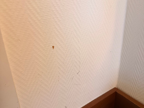 阿尔滕堡枫叶沃德酒店主图