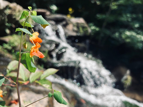 Stumphouse Mountain Tunnel-Walhalla必去景点