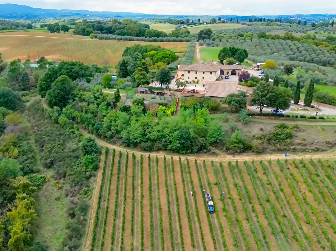 Montalpruno Winery-波吉邦西必去景点