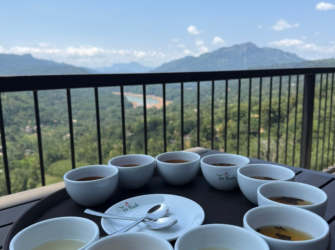 US Tours Sri Lanka-康提必去景点