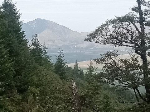 Dog Stream Walkway-汉默温泉必去景点