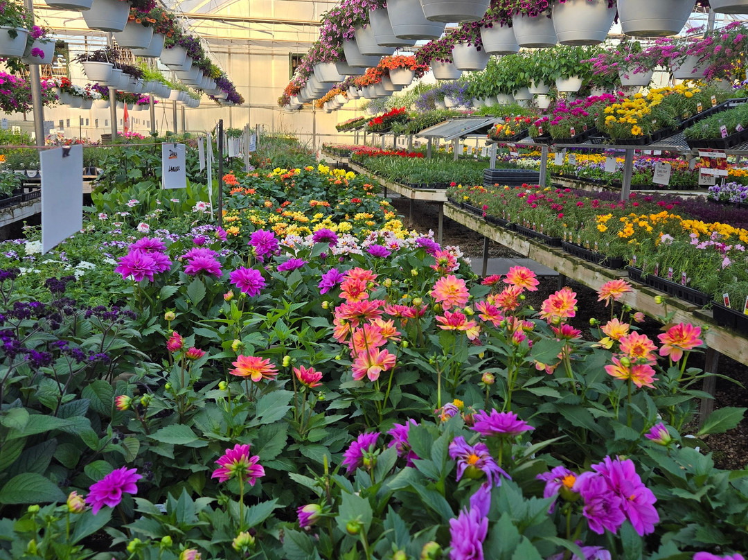 Windmill Garden Centre and Butterfly House-梅迪辛哈特必去景点