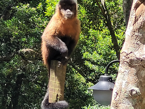 Fonte Dos Amores-Pocos de Caldas必去景点