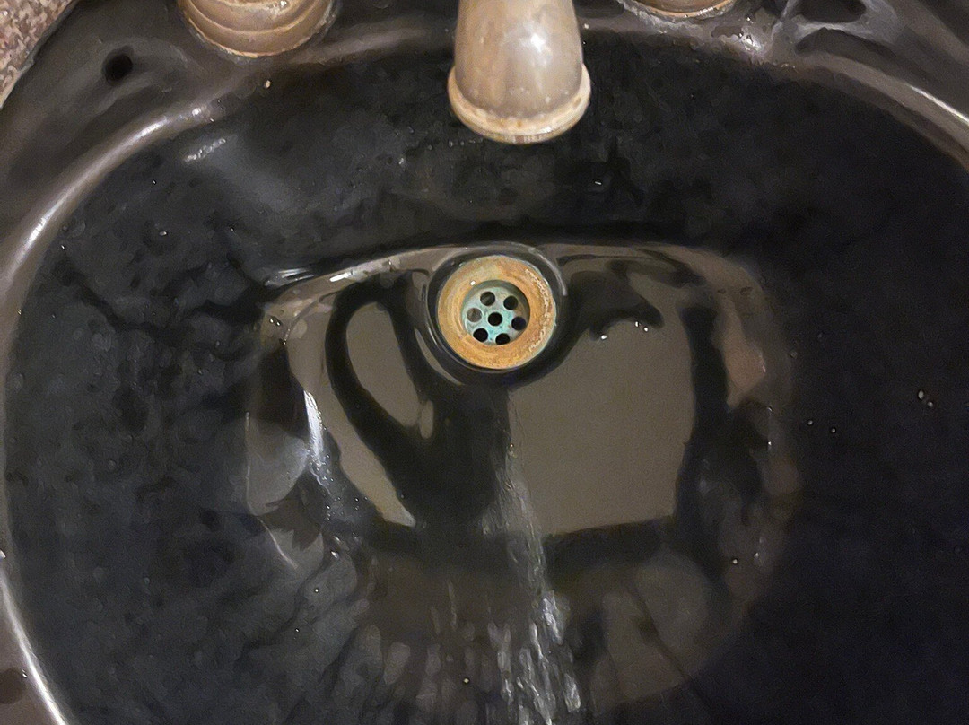 尼兰巴格宫酒店主图