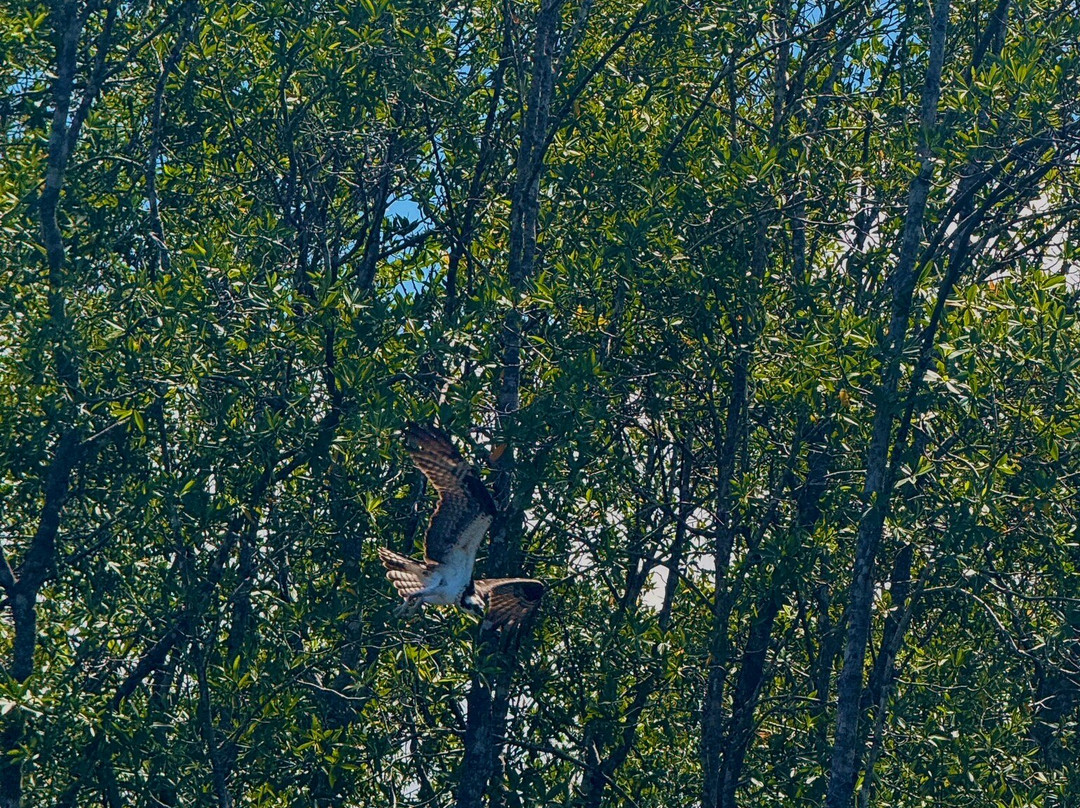Epic Adventures Costa Rica-哥斯达黎加安东尼奥国家公园必去景点