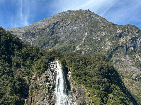 Wild Kiwi Tours-奥克兰中心地区必去景点