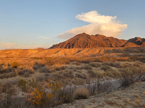 Big Bend & Lajitas Stables-Terlingua必去景点