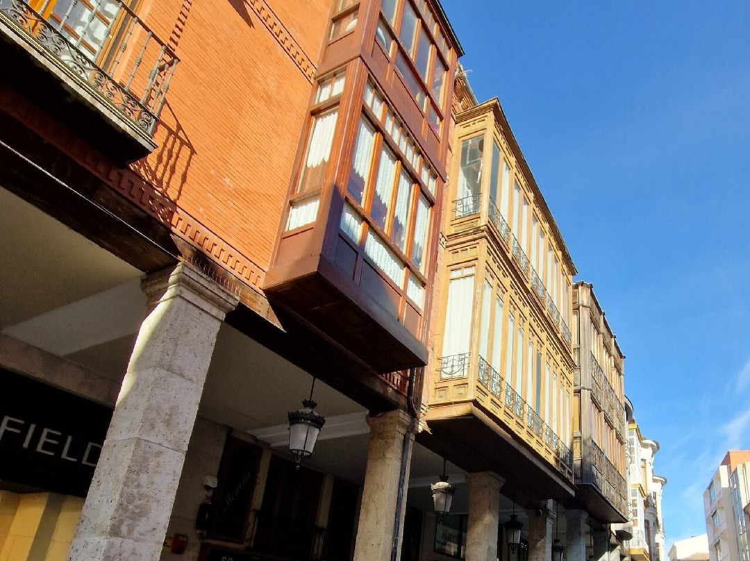 Calle Mayor-帕伦西亚必去景点