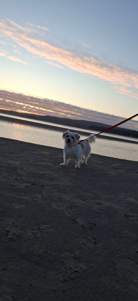 斗鸡老酒店-官方