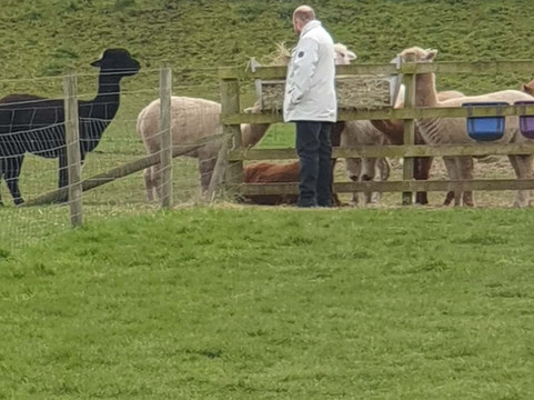 Willow Tree Family Farm-Shirebrook必去景点