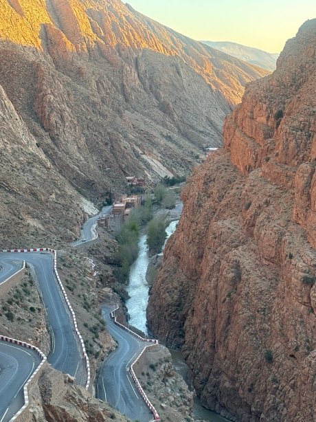 阿尔加纳宅邸酒店-官方