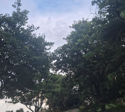 Hotel Quinta Dy Engenho主图