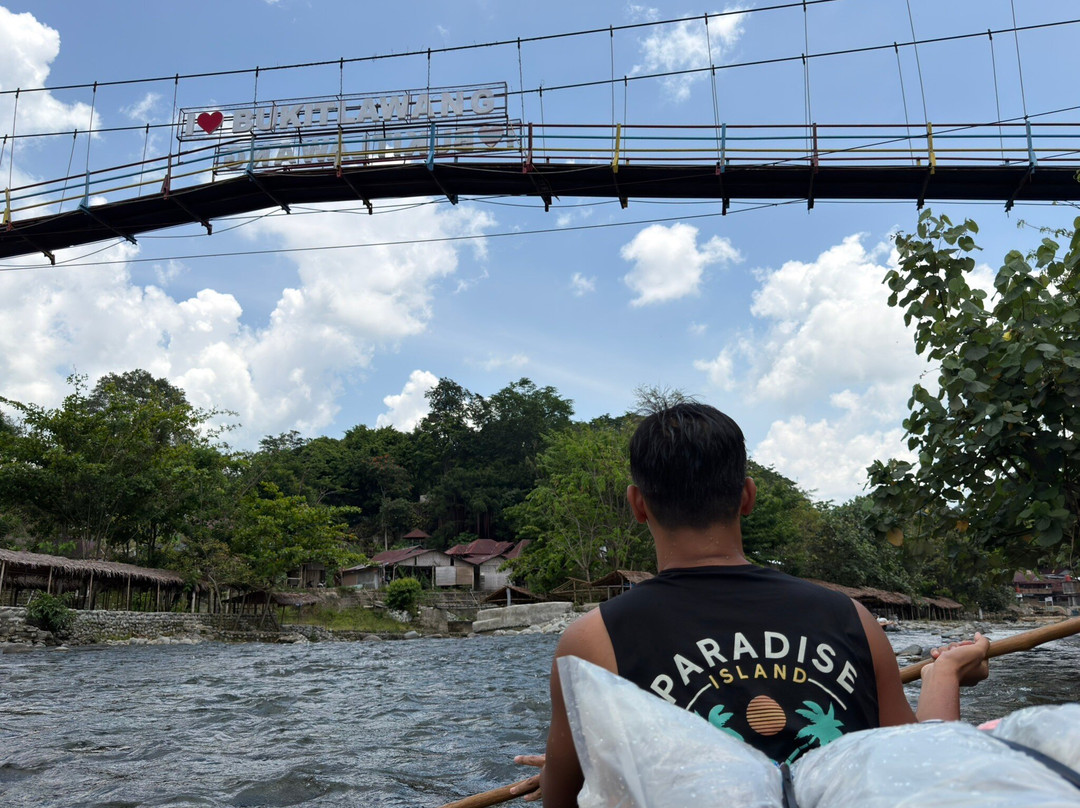 Trekking Orangutan Sumatra-武吉拉旺必去景点