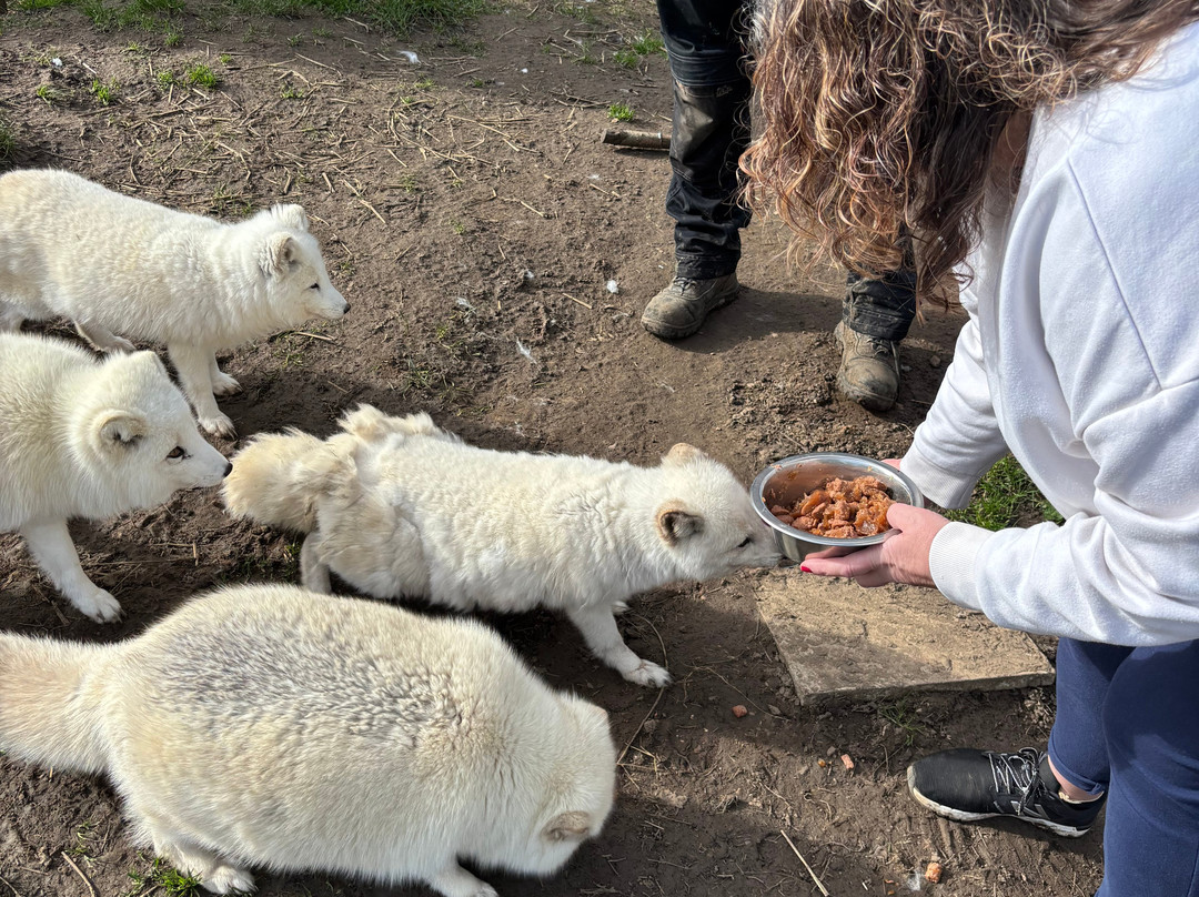 Ark Wildlife Park & Exotic Animal Sanctuary-Stickney必去景点