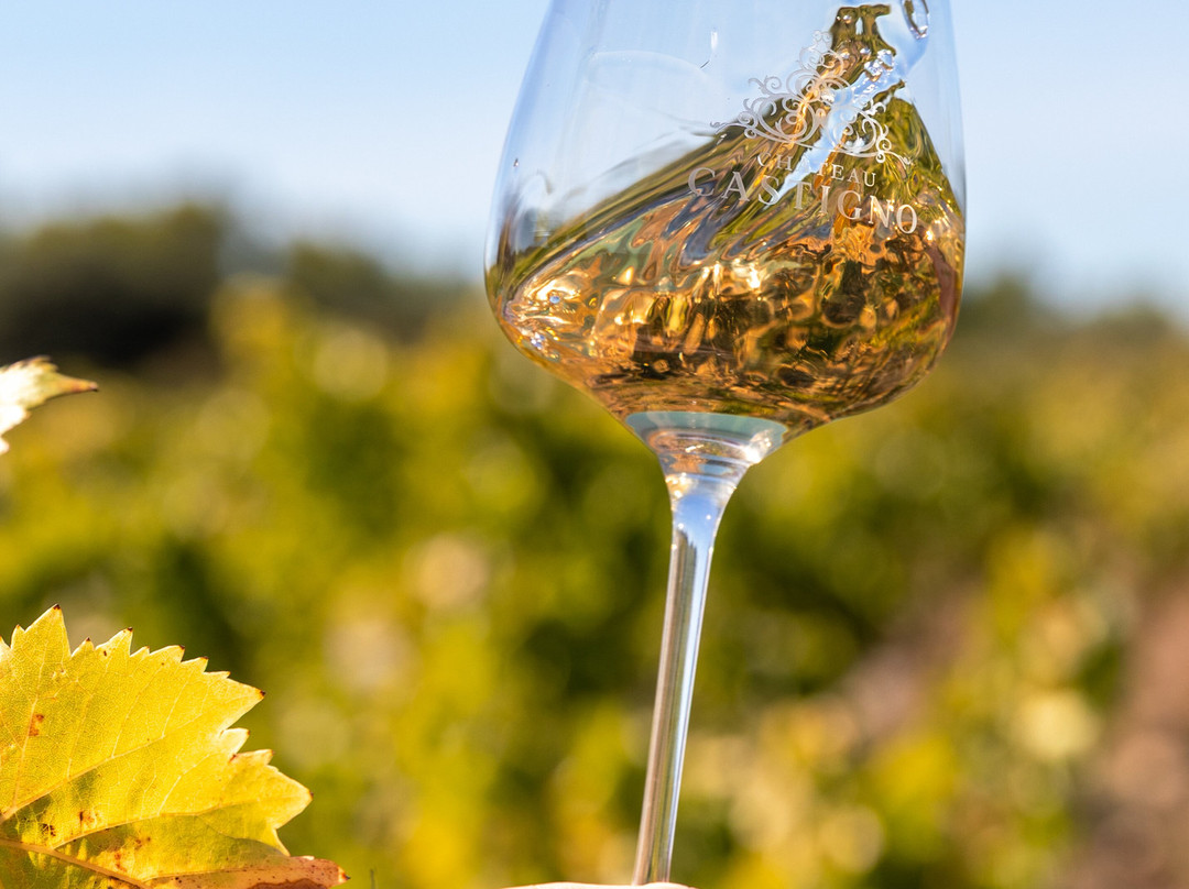 Cave De Château Castigno-Assignan必去景点