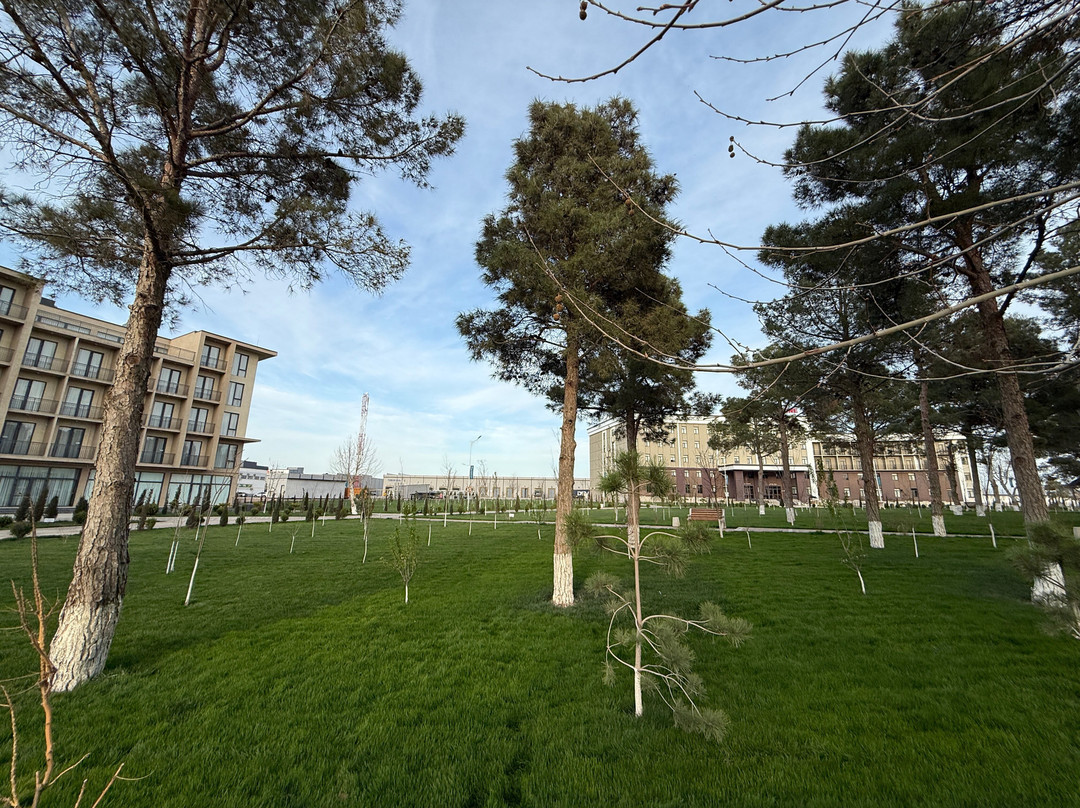 Hilton Garden Inn Termez  Airitom主图