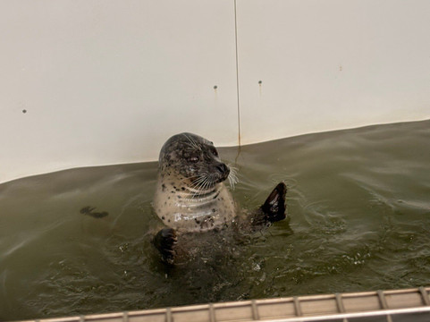 Seaside Aquarium-锡赛德必去景点