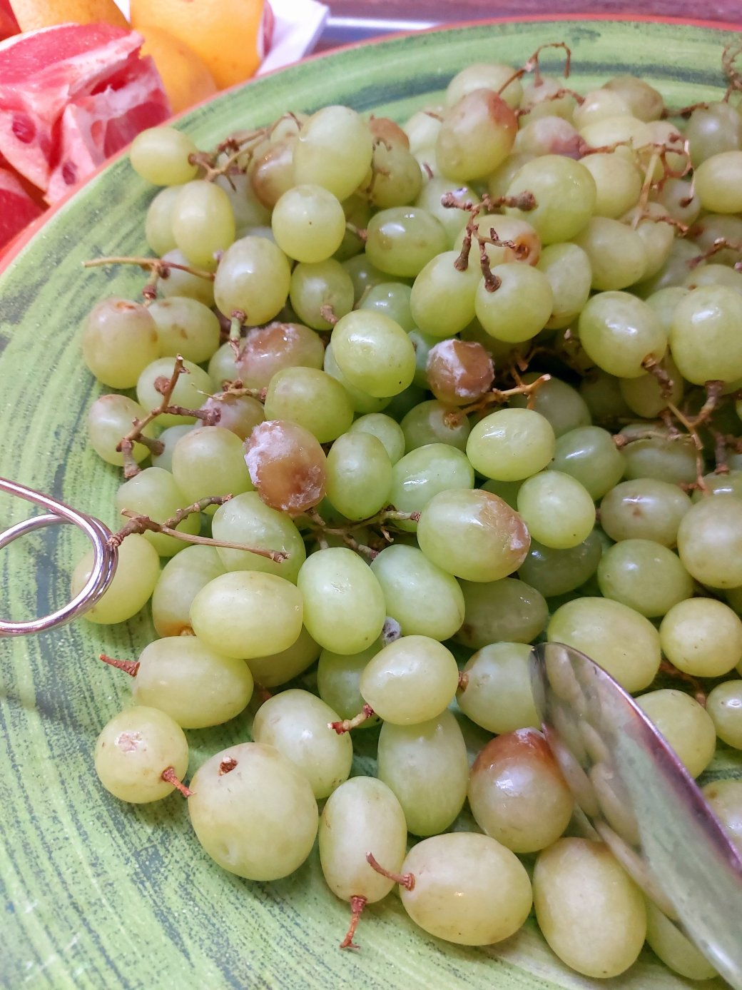 SBH宁静海岸宫殿酒店-官方