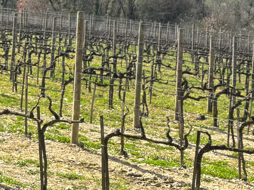 Best of Mas-锡耶纳必去景点