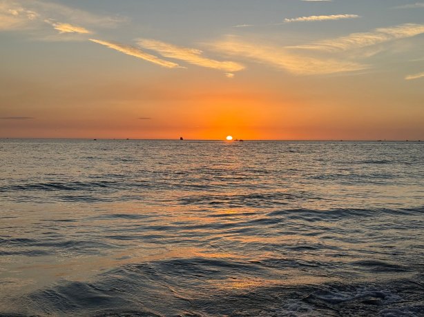 Residence Inn St. Petersburg Treasure Island-官方