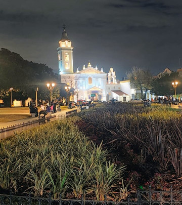 Plaza Francia-布宜诺斯艾利斯必去景点