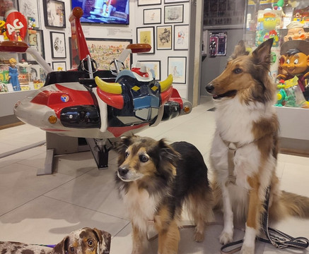 Creature Di Gomma - Venice Vintage Toys-威尼斯必去景点