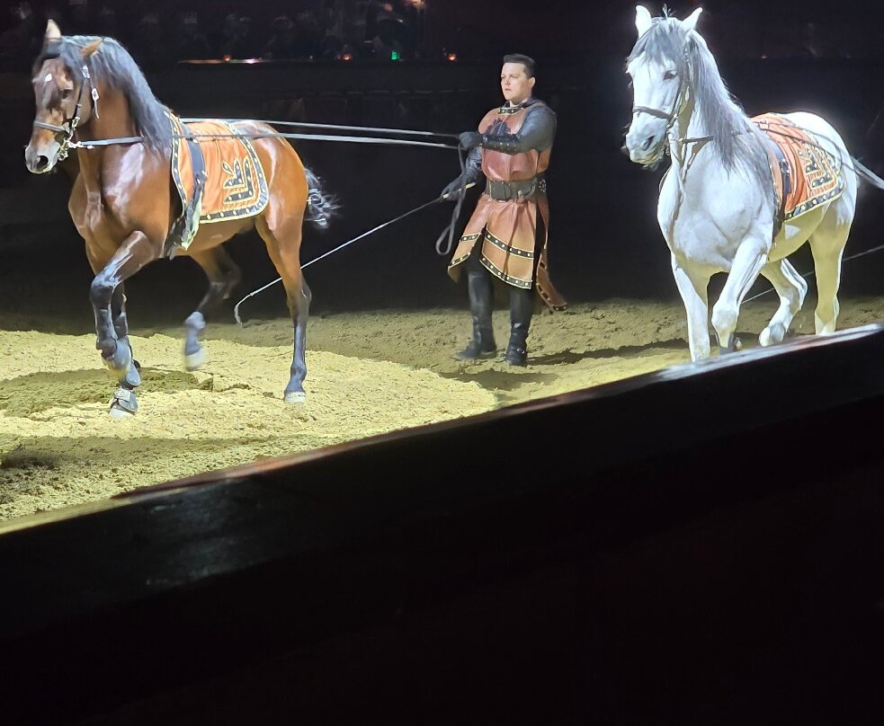 Medieval Times Dinner & Tournament-斯科茨代尔必去景点