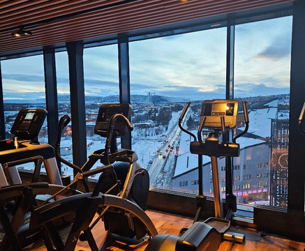 斯堪的纳基鲁纳主图