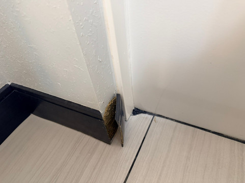 萨凡纳机场普勒拉昆塔温德姆套房酒店主图