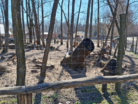 Magán Zoo-Felsolajos必去景点