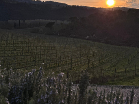 Tenuta di Nozzole-格雷韦伊恩基亚恩蒂必去景点