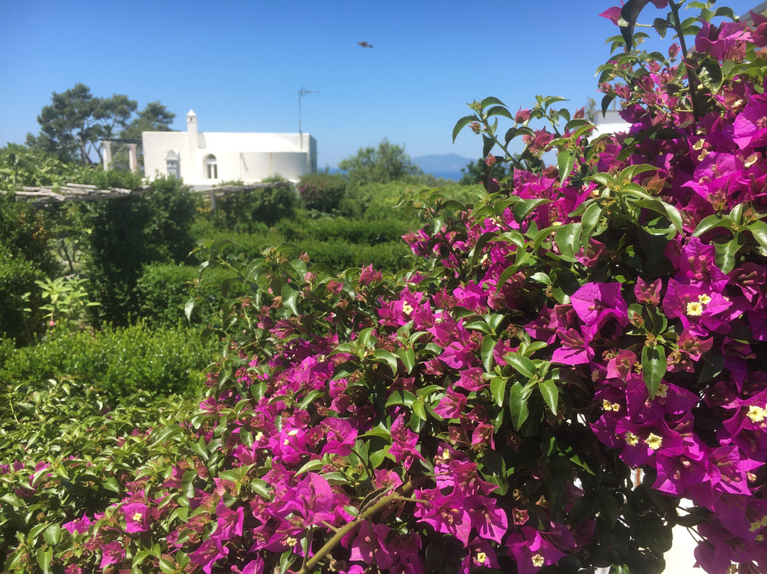 艾穆利尼奥酒店主图