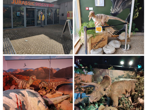 Jurassic Discovery-Seaton必去景点