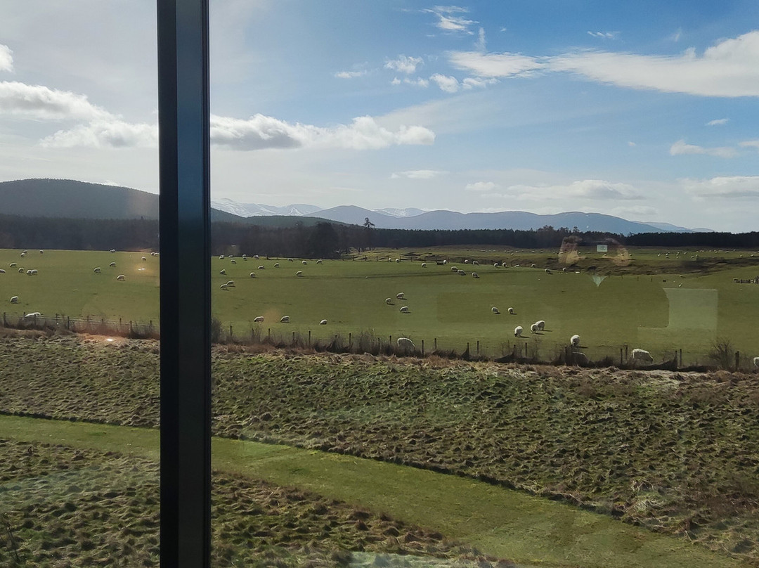 The Cairn Distillery-Grantown-on-Spey必去景点