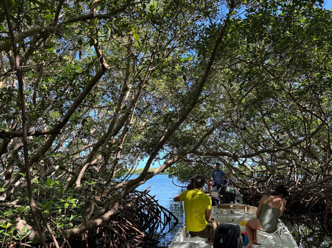 Alizes Adventure-Sainte Rose必去景点