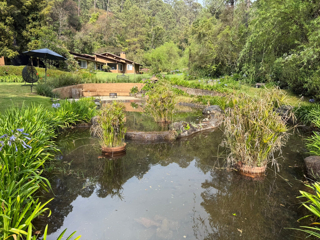 Eleusinia Retreat-巴耶－德布拉沃必去景点