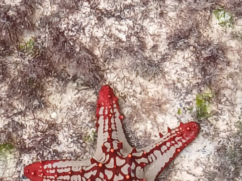 Tam Tours-桑给巴尔市必去景点