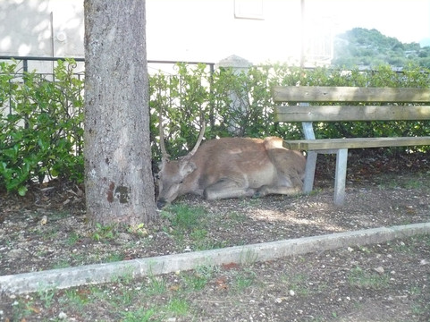Borgo di Villalago-Villalago必去景点