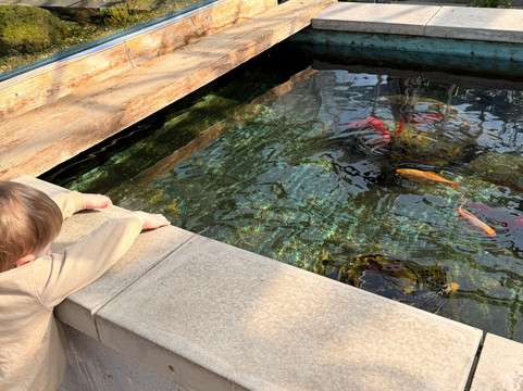 The Walled Gardens of Cannington-Cannington必去景点