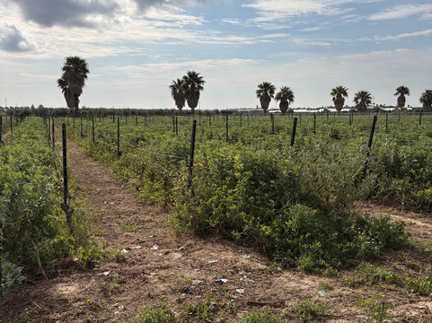 Marco de Bartoli-马尔萨拉必去景点
