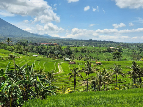 Bali Tropical Island Tours-库塔必去景点