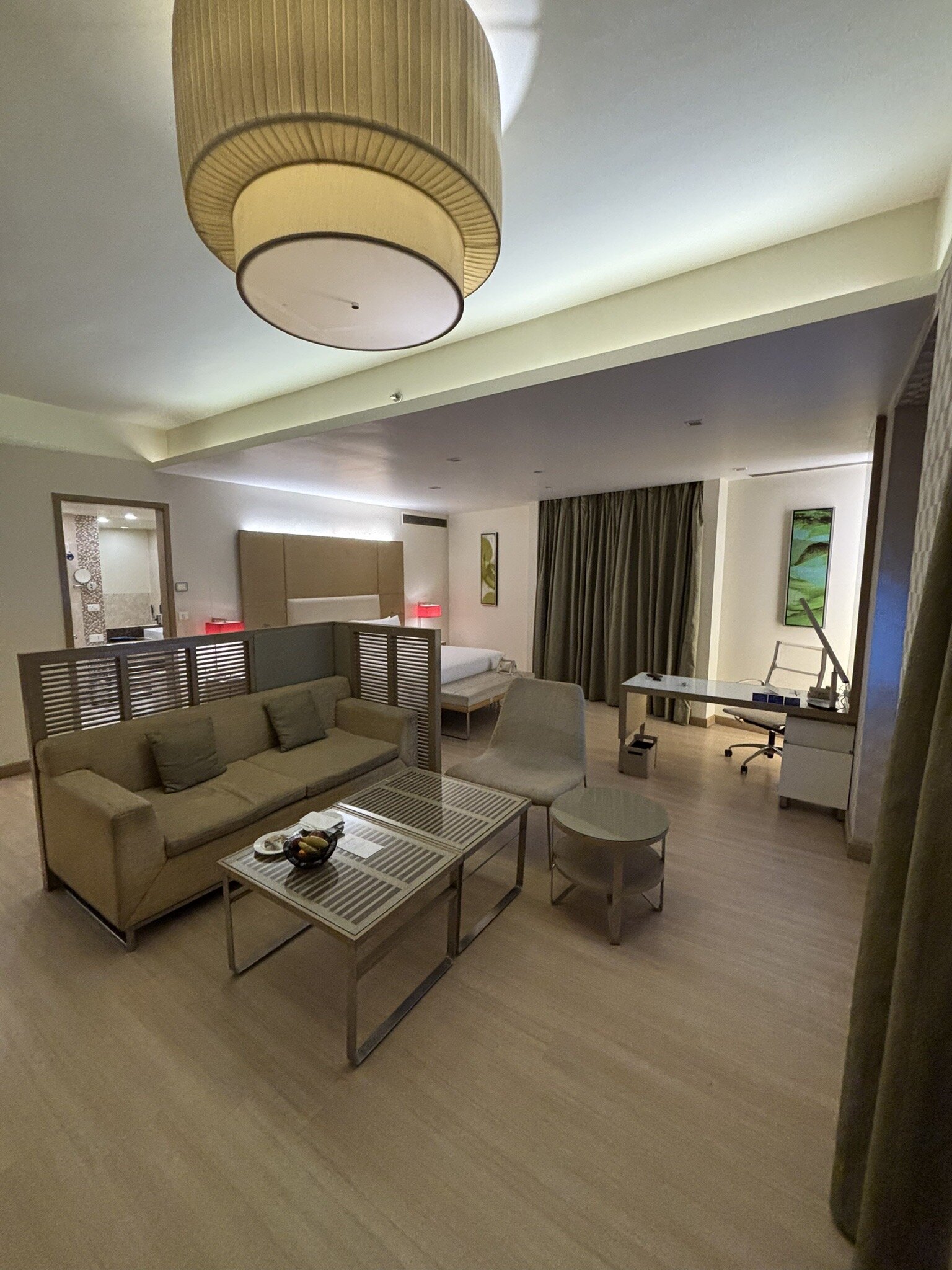 大诺伊达区丽笙酒店-客卧