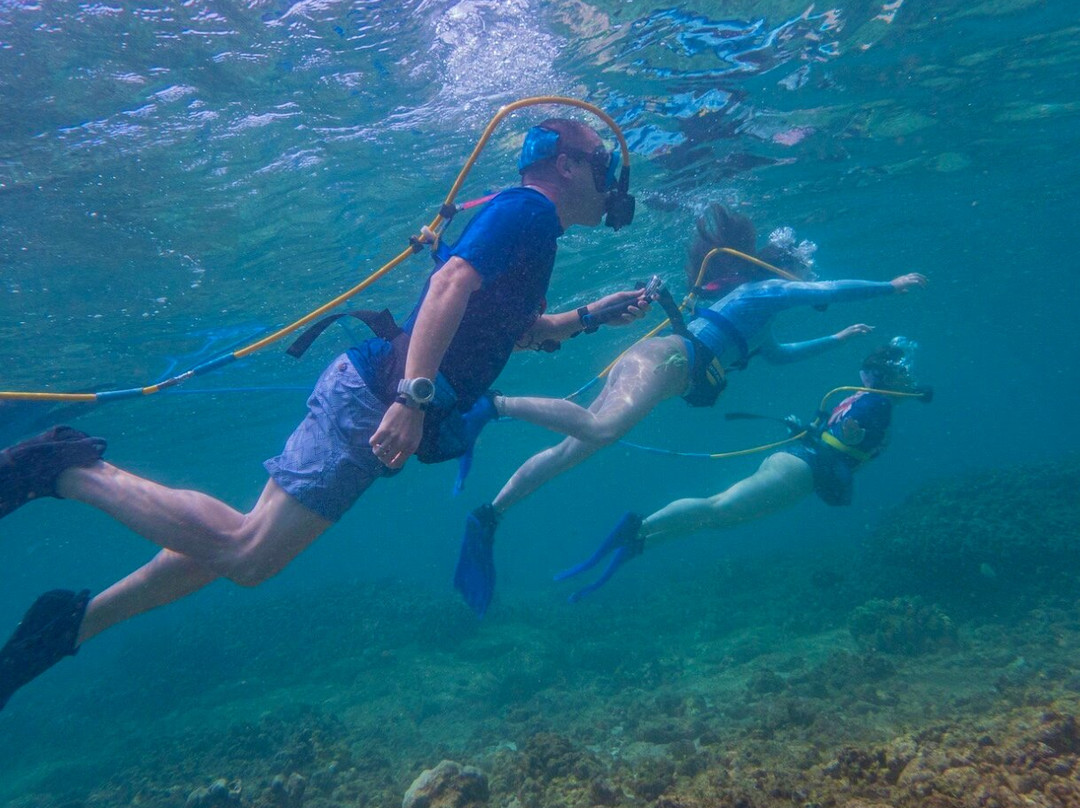 Snuba Tours of Kauai-可洛亚必去景点