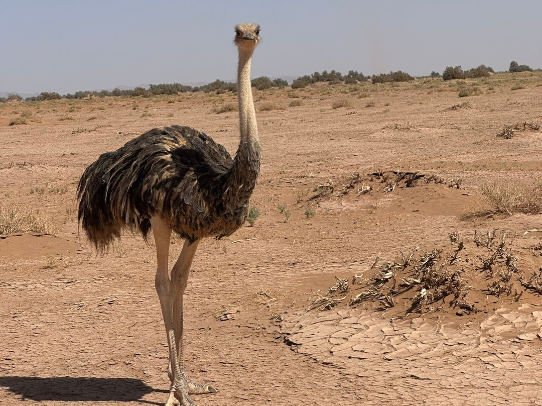 Aziwan Travel-Azilal必去景点