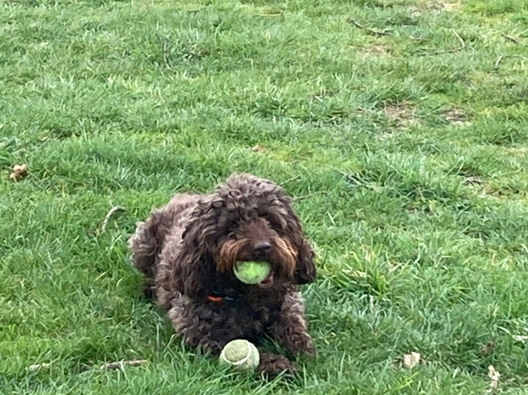 彭伯特布雷恩奢华住宿加早餐旅馆主图